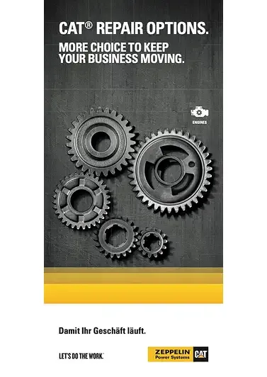 Cat Repair Options Land