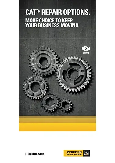 Cat Repair Options Land