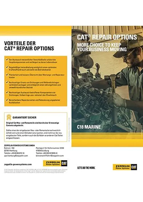 Image for Cat Repair Options C18