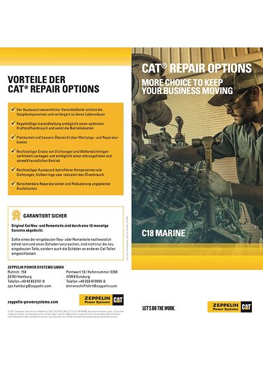 Cat Repair Options C18
