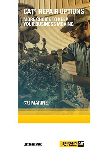 Cat Repair Options C32